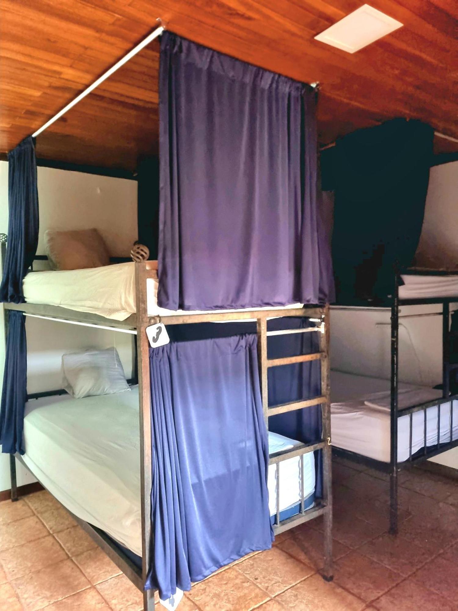 Poshtel Arenal Auberge de jeunesse *
